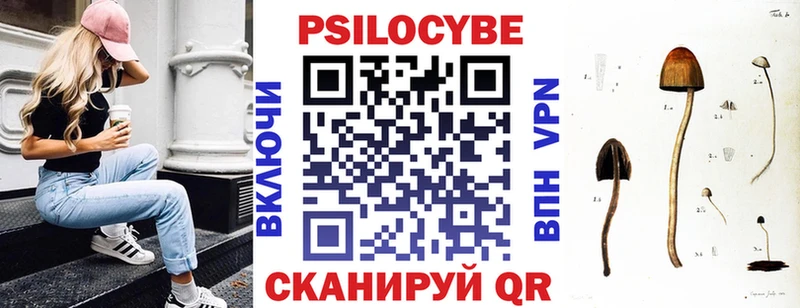 Купить закладки Нытва Псилоцибиновые грибы Cubensis